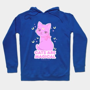 Cats are magical Hoodie